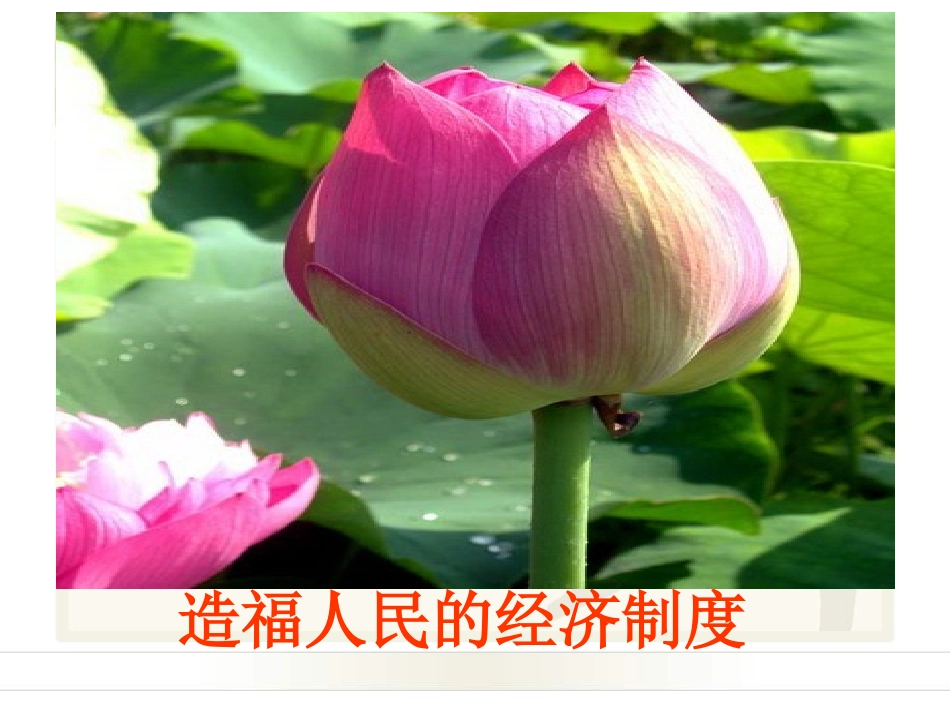 (第1框-造福人民的经济制度)课件-新人教版-4_第1页