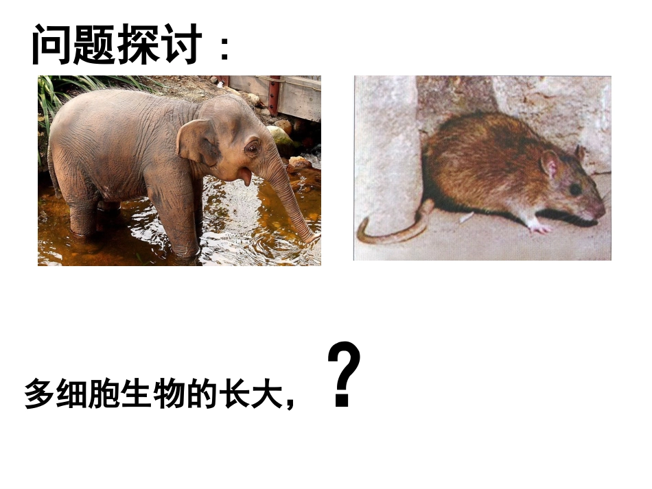 细胞增殖课件用_第2页