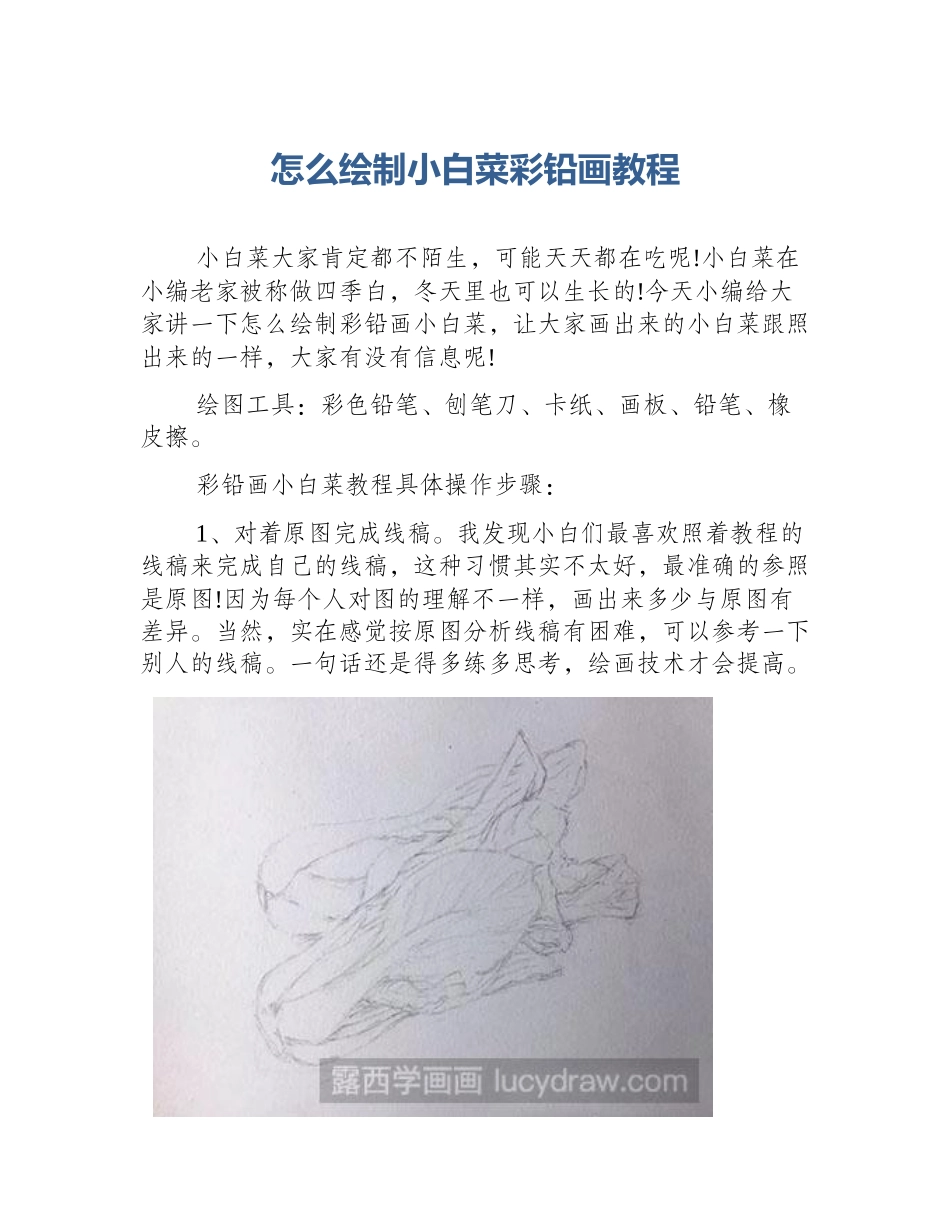 怎么绘制小白菜彩铅画教程_第1页