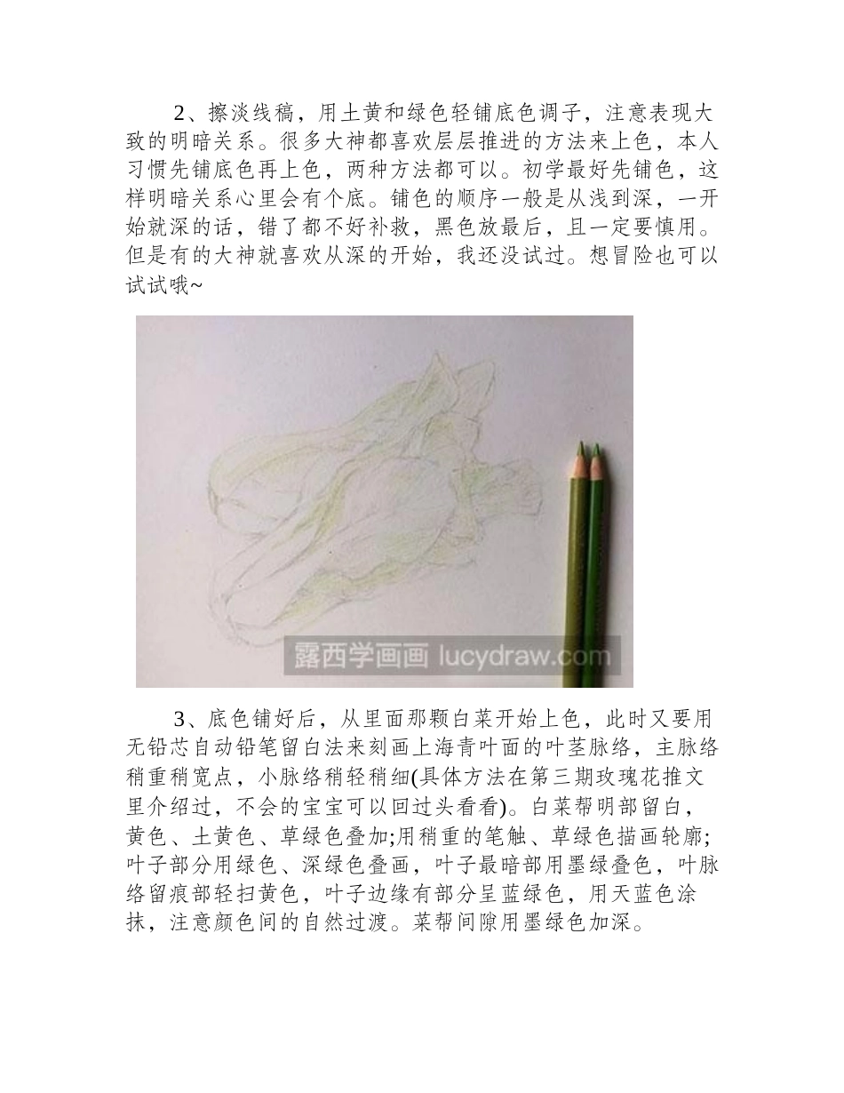 怎么绘制小白菜彩铅画教程_第2页