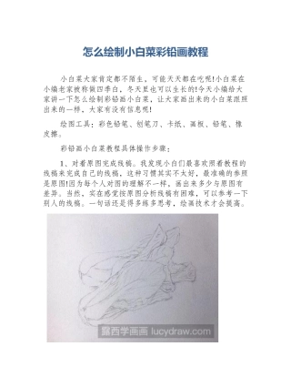 怎么绘制小白菜彩铅画教程