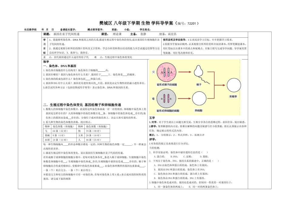 72202基因在亲子间传递导学案_第1页