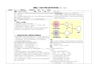 72202基因在亲子间传递导学案