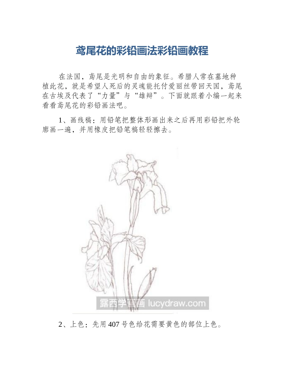 鸢尾花的彩铅画法彩铅画教程_第1页