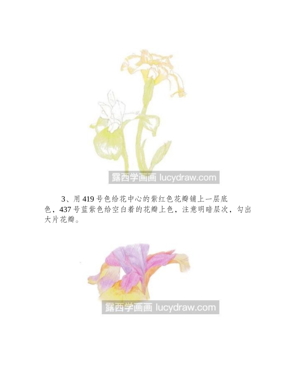 鸢尾花的彩铅画法彩铅画教程_第2页