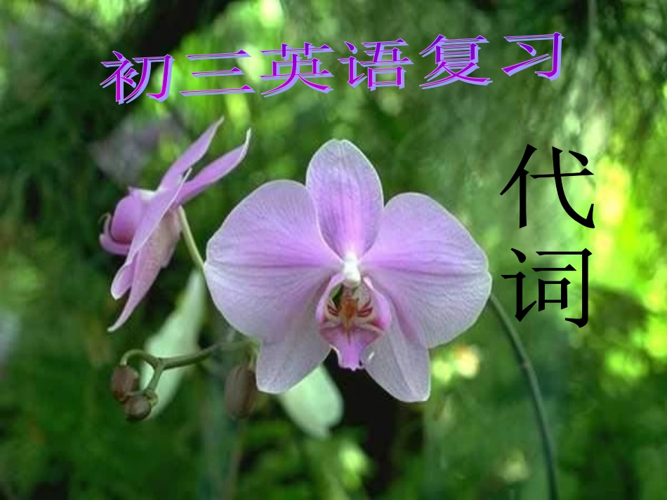 九英下中考语法复习+代词(课件)_第1页