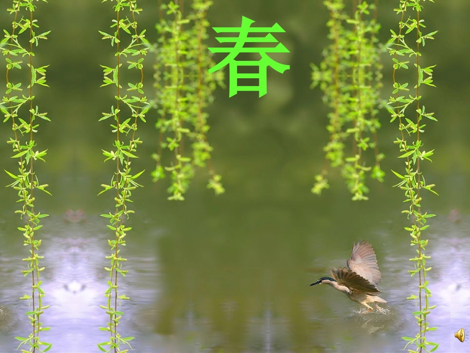 《有几只小鸟》_第2页