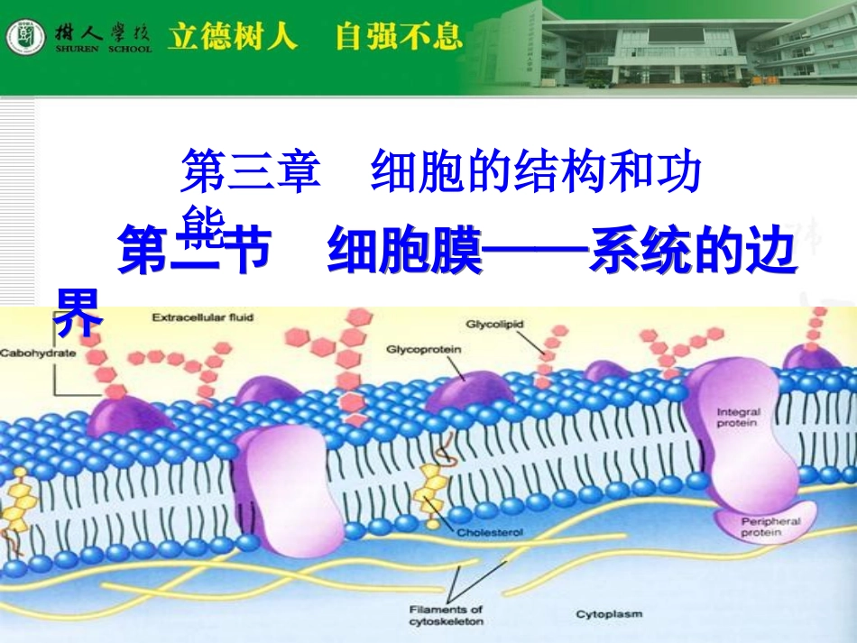 3673.1-细胞膜—系统的边界-高双晨_第1页