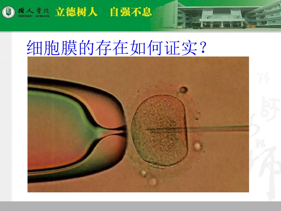 3673.1-细胞膜—系统的边界-高双晨_第2页