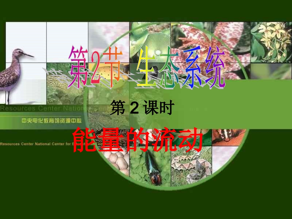 九年级科学生态系统7_第1页