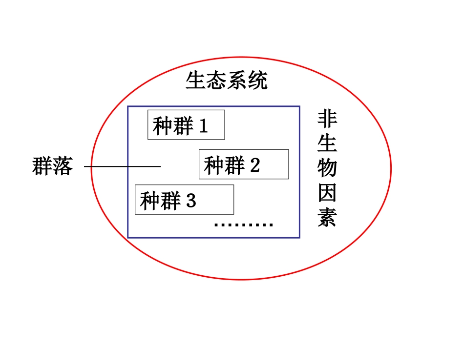 九年级科学生态系统7_第3页