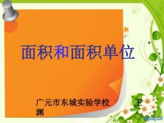 面积和面积单位1