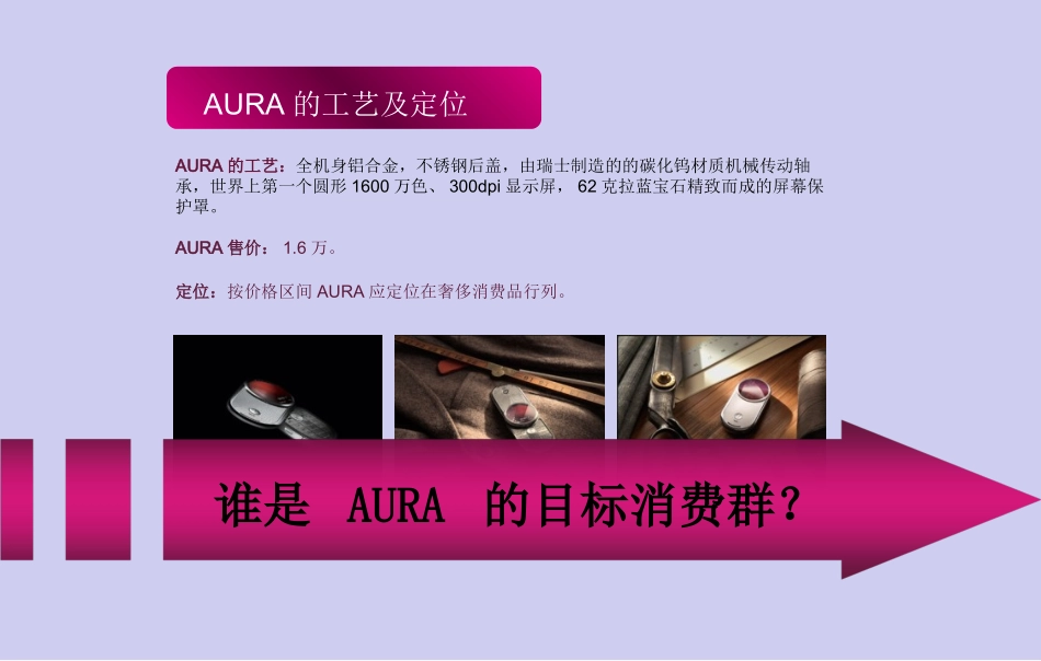 摩托罗拉MOTO-AURA目标群体多渠道推广策划方案_第2页
