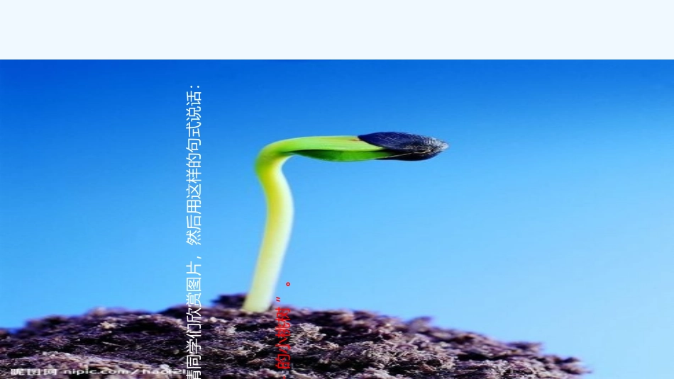 (部编)初中语文人教2011课标版七年级下册《一棵小桃树》教学课件_第2页