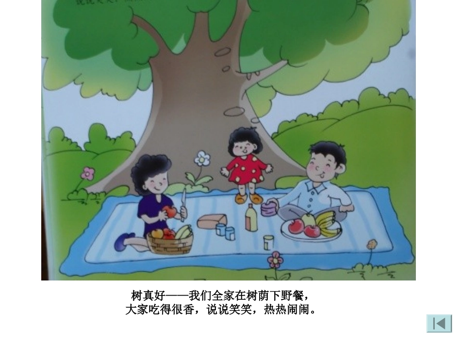 语言：树真好_第3页