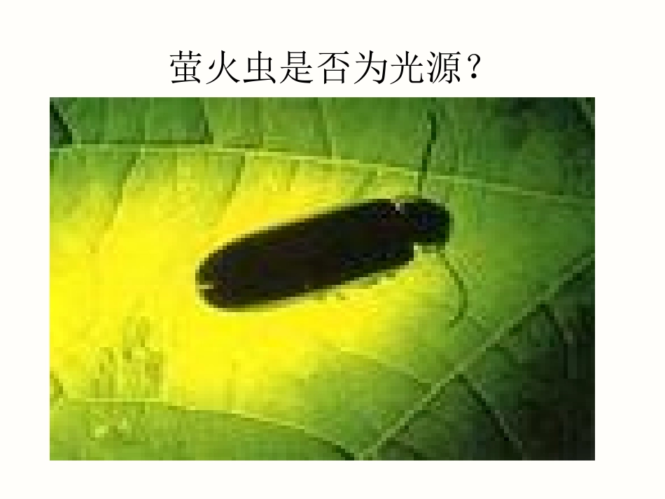 第1节光的直线传播课件_第3页