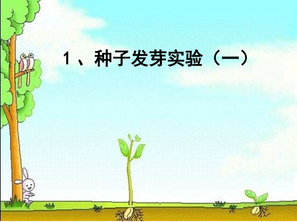 种子发芽实验一_第1页