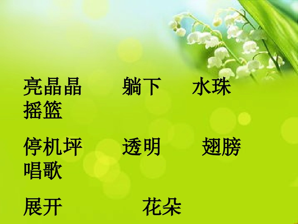 荷叶圆圆课件_第2页