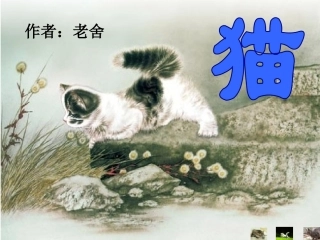 15课《猫》