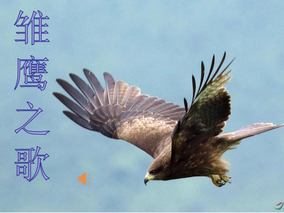 《雏鹰之歌》课件_第3页