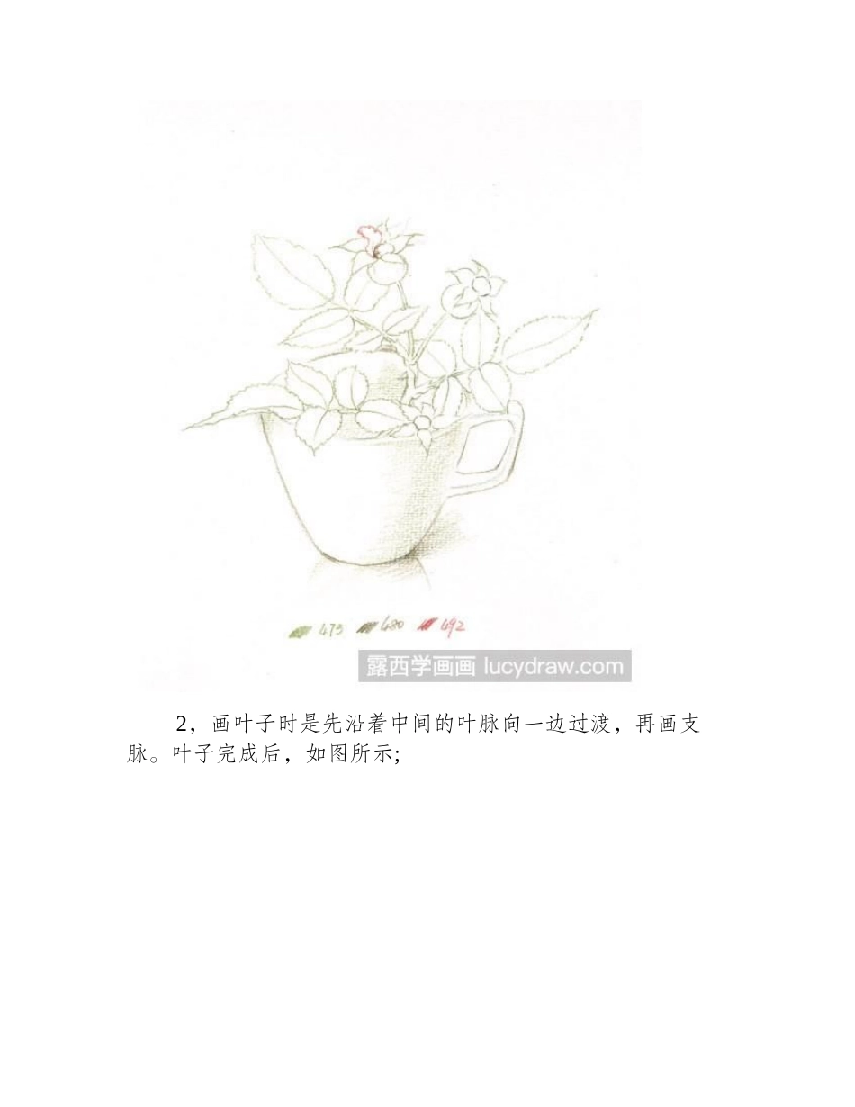 月季果彩铅画教程彩铅画教程_第2页