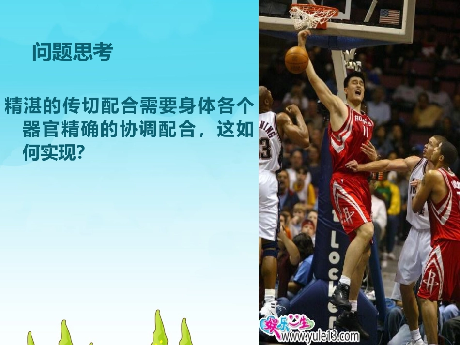 2.1通过神经系统的调节_第2页