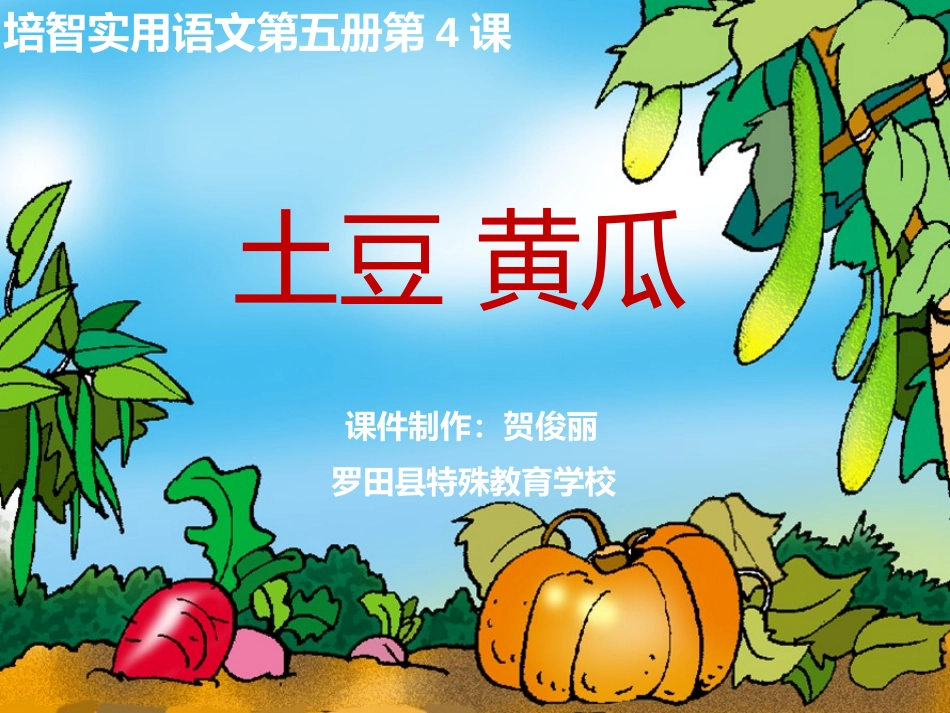 培智语文《土豆黄瓜》_第1页