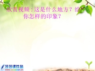 《故宫博物院》公开课