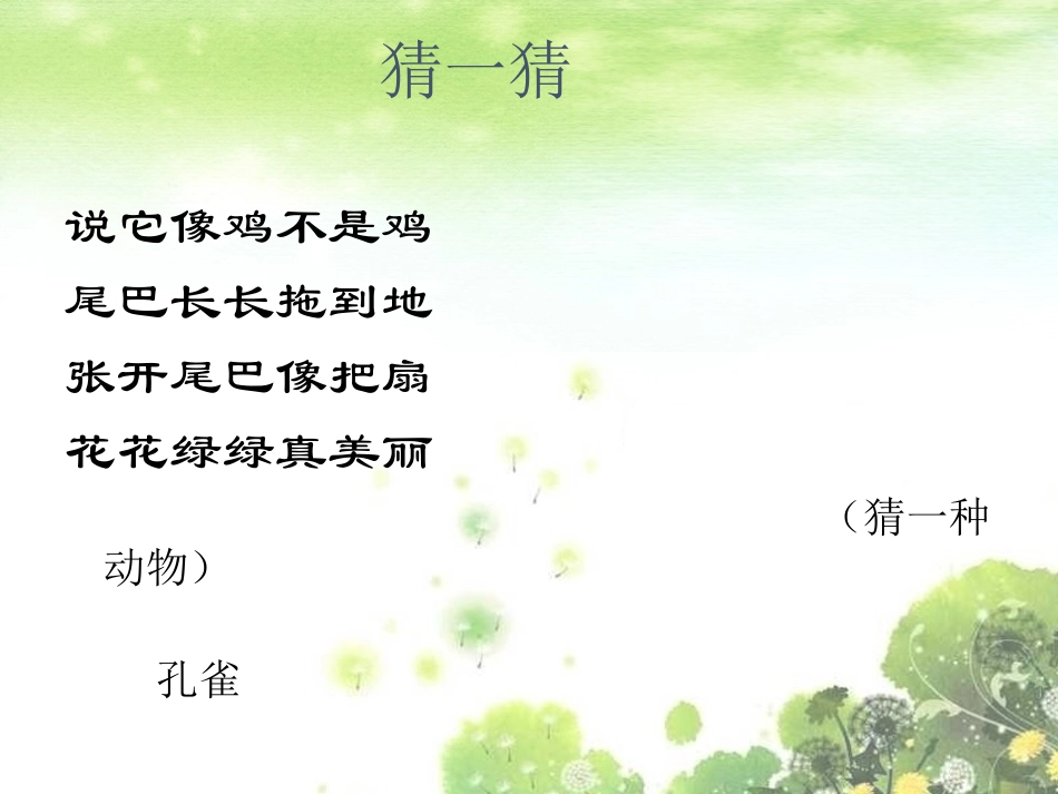 金孔雀轻轻跳-课件_第2页