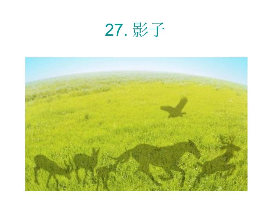 科学课--影子_第1页