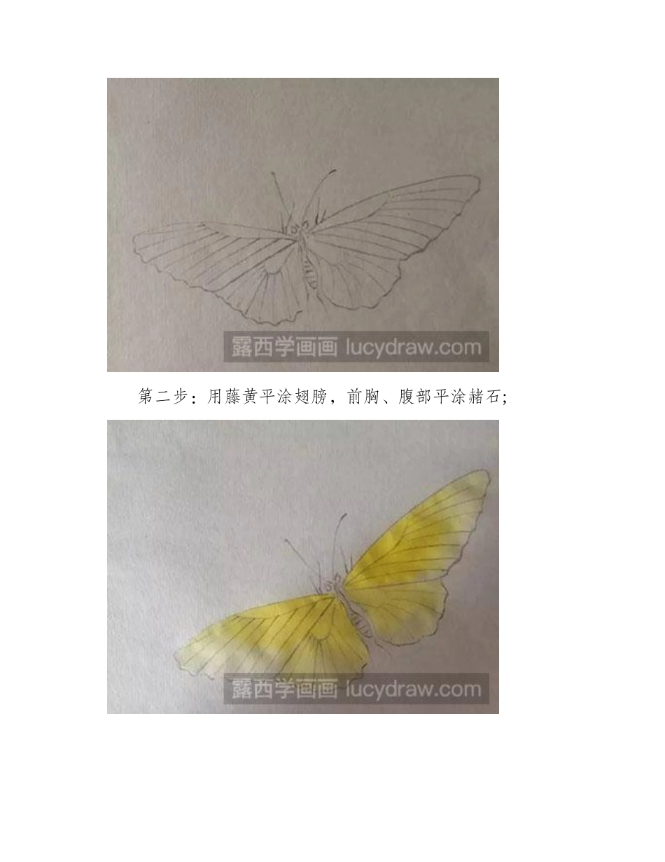 怎么绘制工笔画蝴蝶教程工笔画教程_第2页