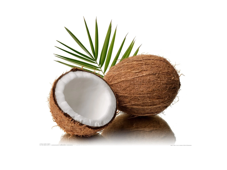 植物传播种子_第1页