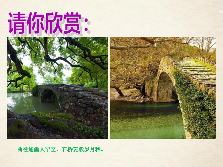 桥之美肖小玩修改G_第1页