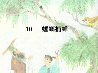 螳螂捕蝉课件