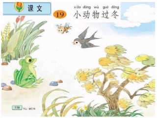 19、小动物过冬