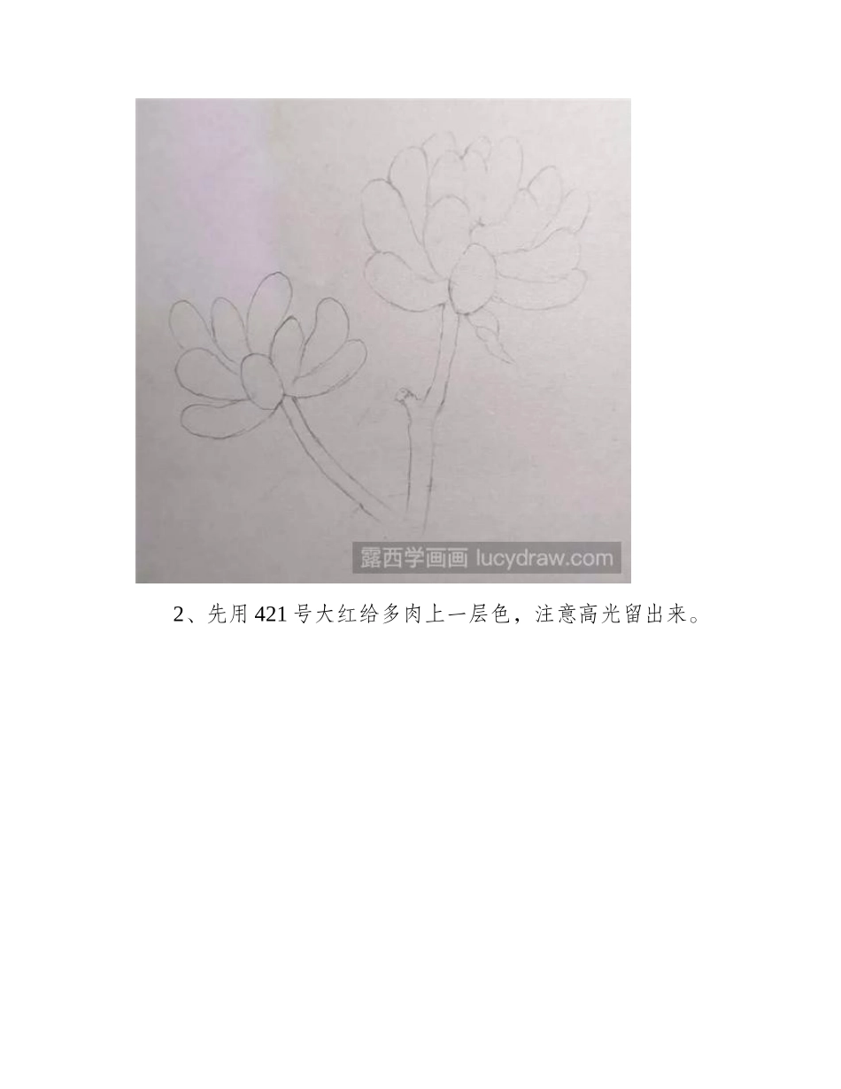 乙女心怎么画_多肉彩铅画步骤有哪些_彩铅画教程_第2页