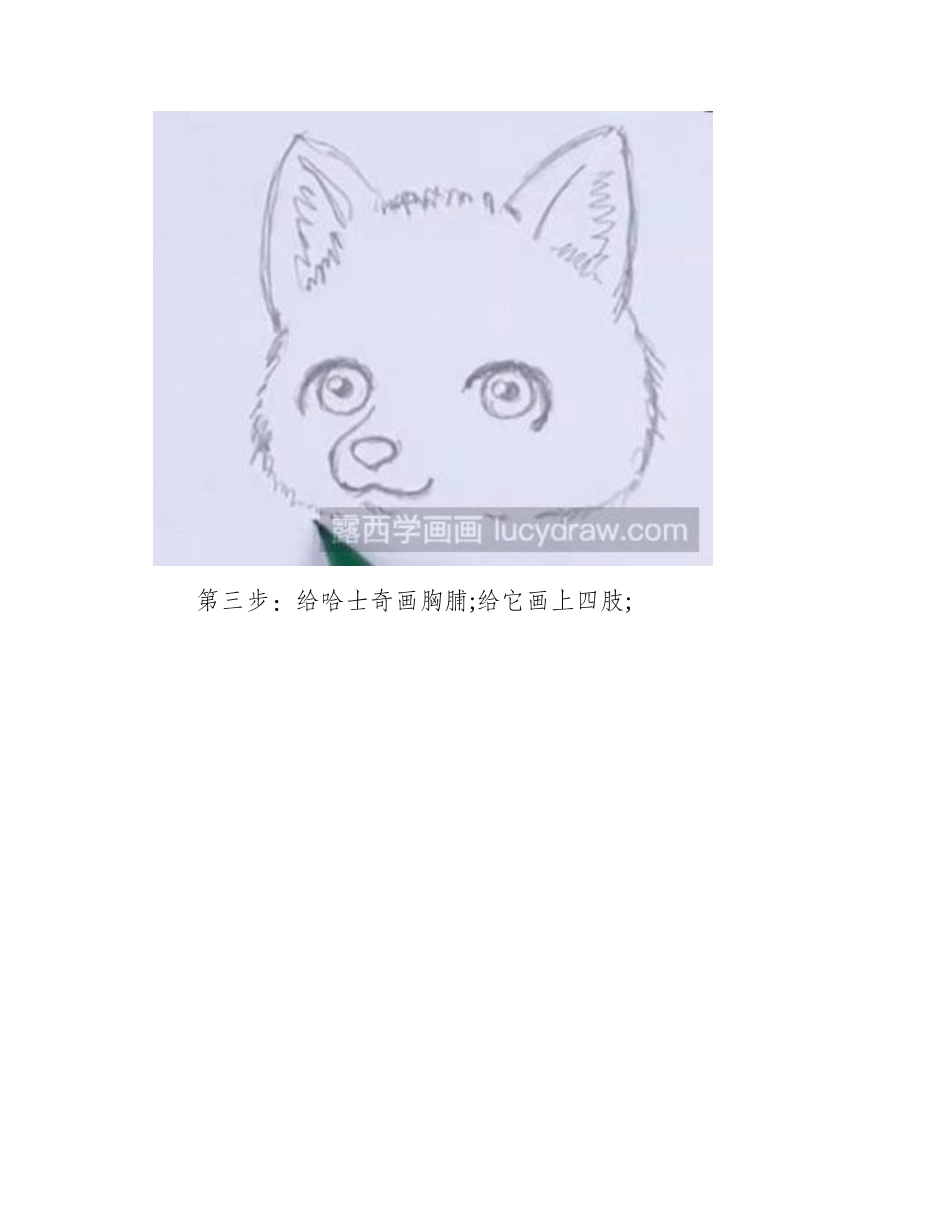 怎么画儿童画哈士奇儿童画教程1_第2页