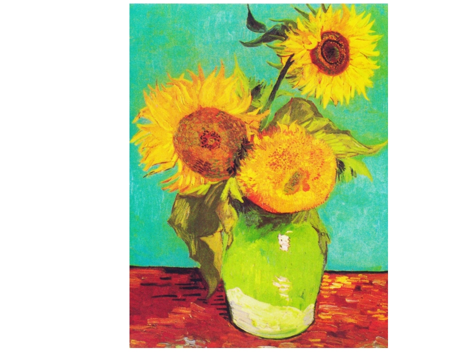 梵高的静物画_第3页