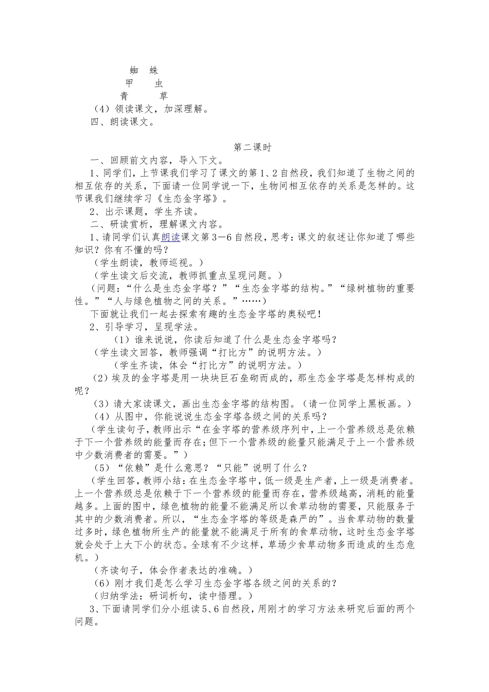 18生态金字塔_第2页