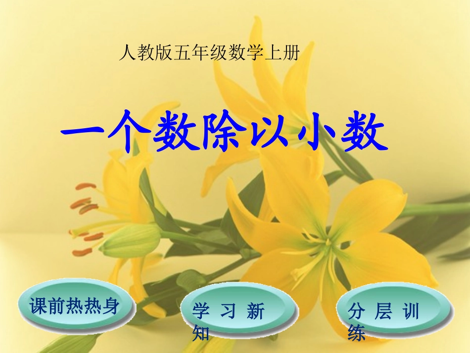 一个数除以小数_第1页