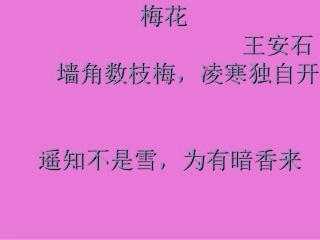 《06梅花魂》PPT课件-2