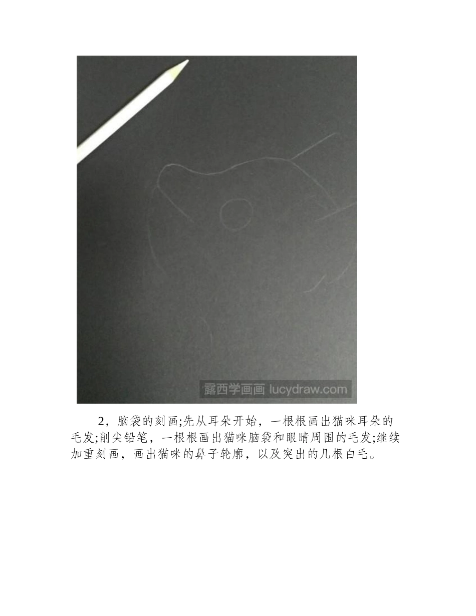 小黑猫彩铅画教程彩铅画教程_第2页