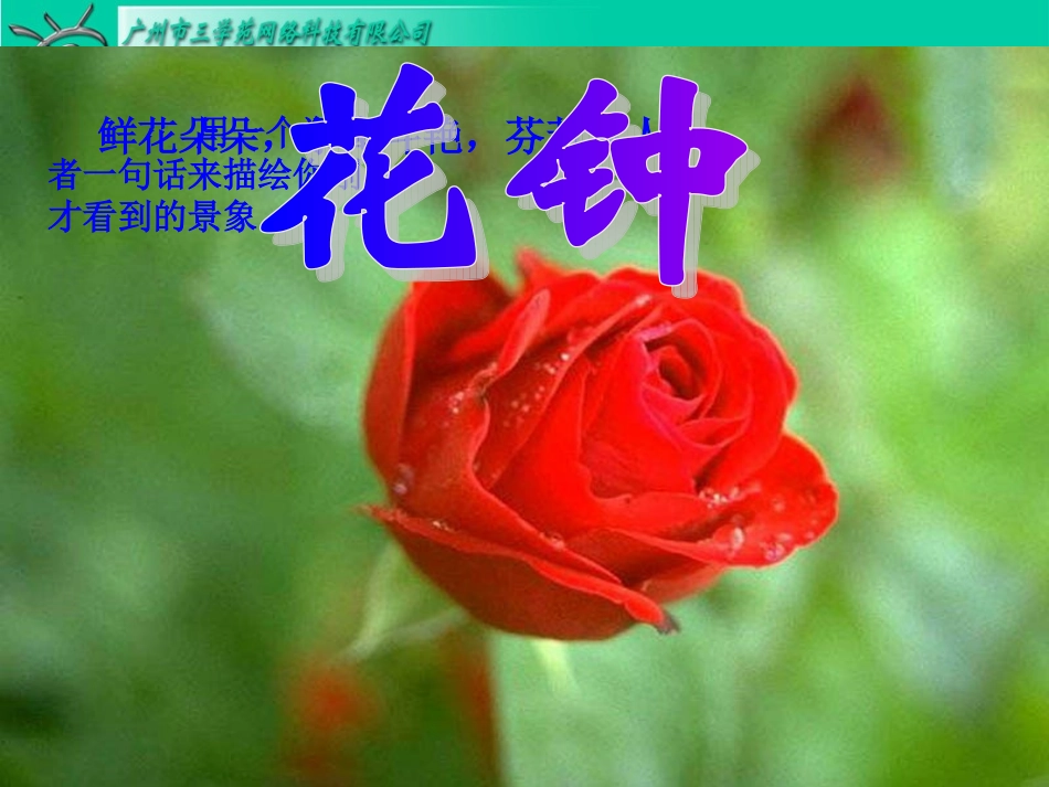 13花钟-(2)_第2页