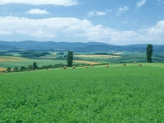 心-理-描-写-片-段-训-练-----让恩情在春晖中闪烁