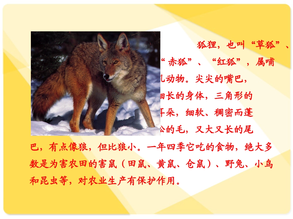 《狐狸和乌鸦》课件_第2页