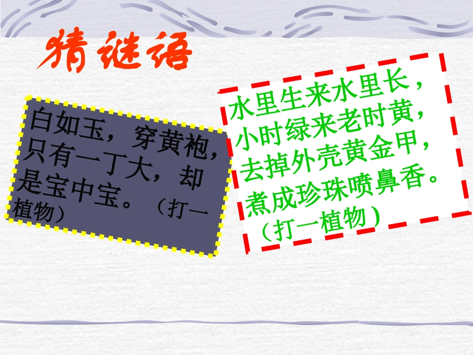北师大版七年级历史上第2课星罗棋布的氏族聚落_第2页