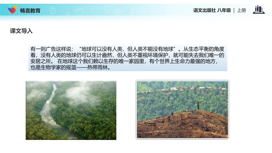 【教学课件】《雨林的毁灭——世界性灾难》(语文版)_第2页