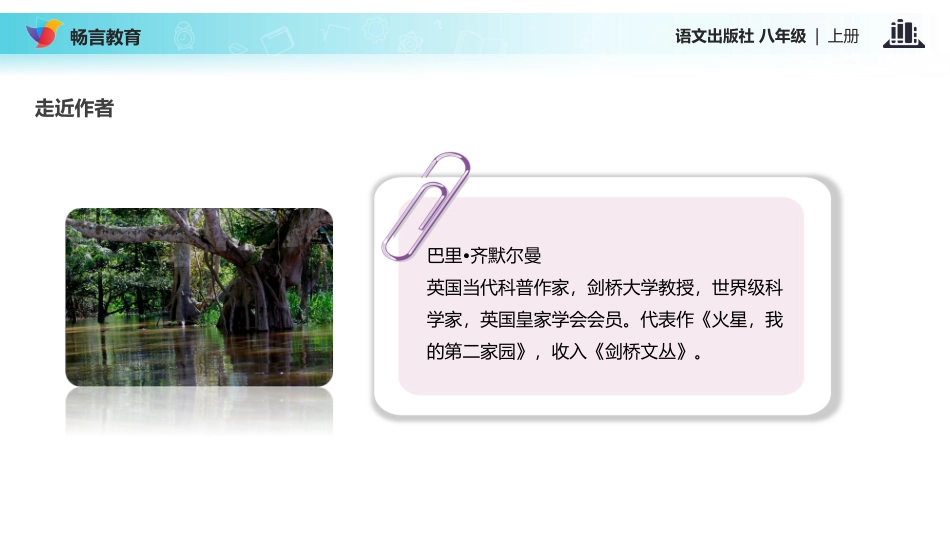 【教学课件】《雨林的毁灭——世界性灾难》(语文版)_第3页