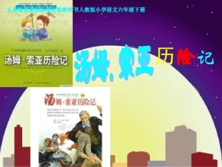 17《汤姆。索亚历险记》课件