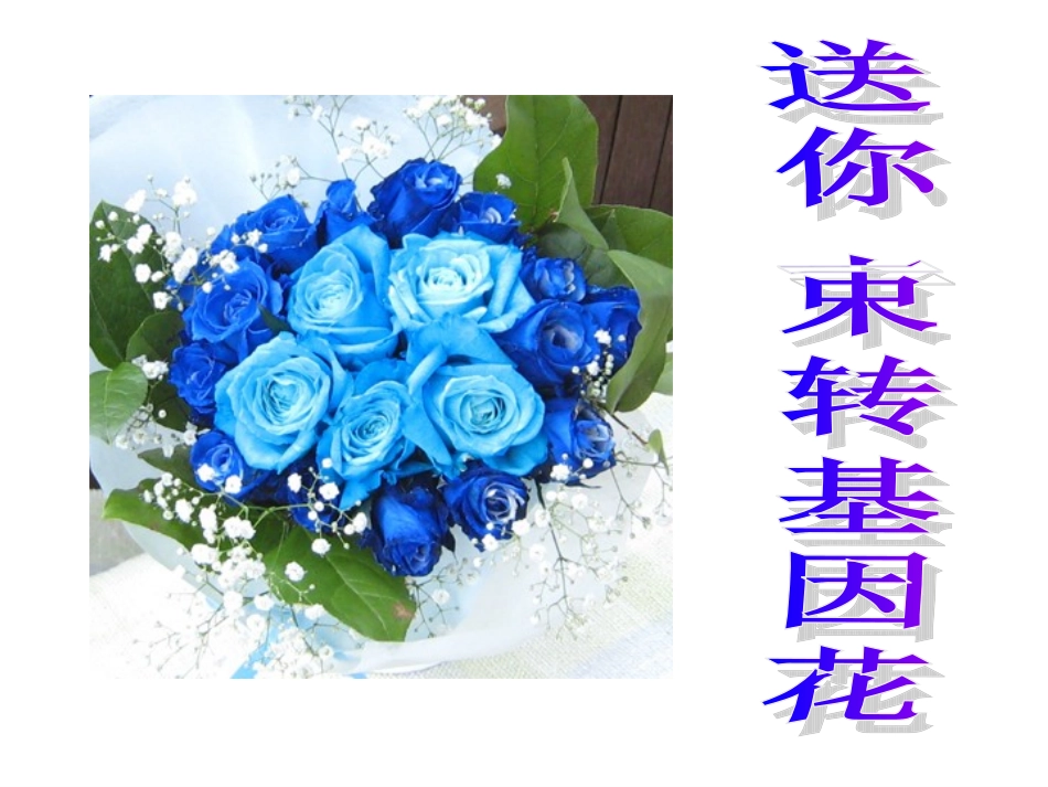 送你一束花zz_第1页